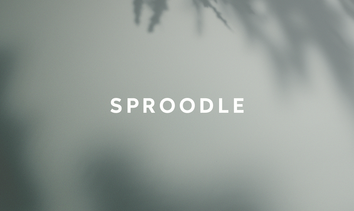 Sproodle_branding