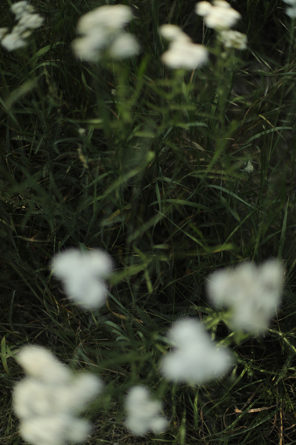 annahaerlin_weddingphotography_DJ_wedding_20257600