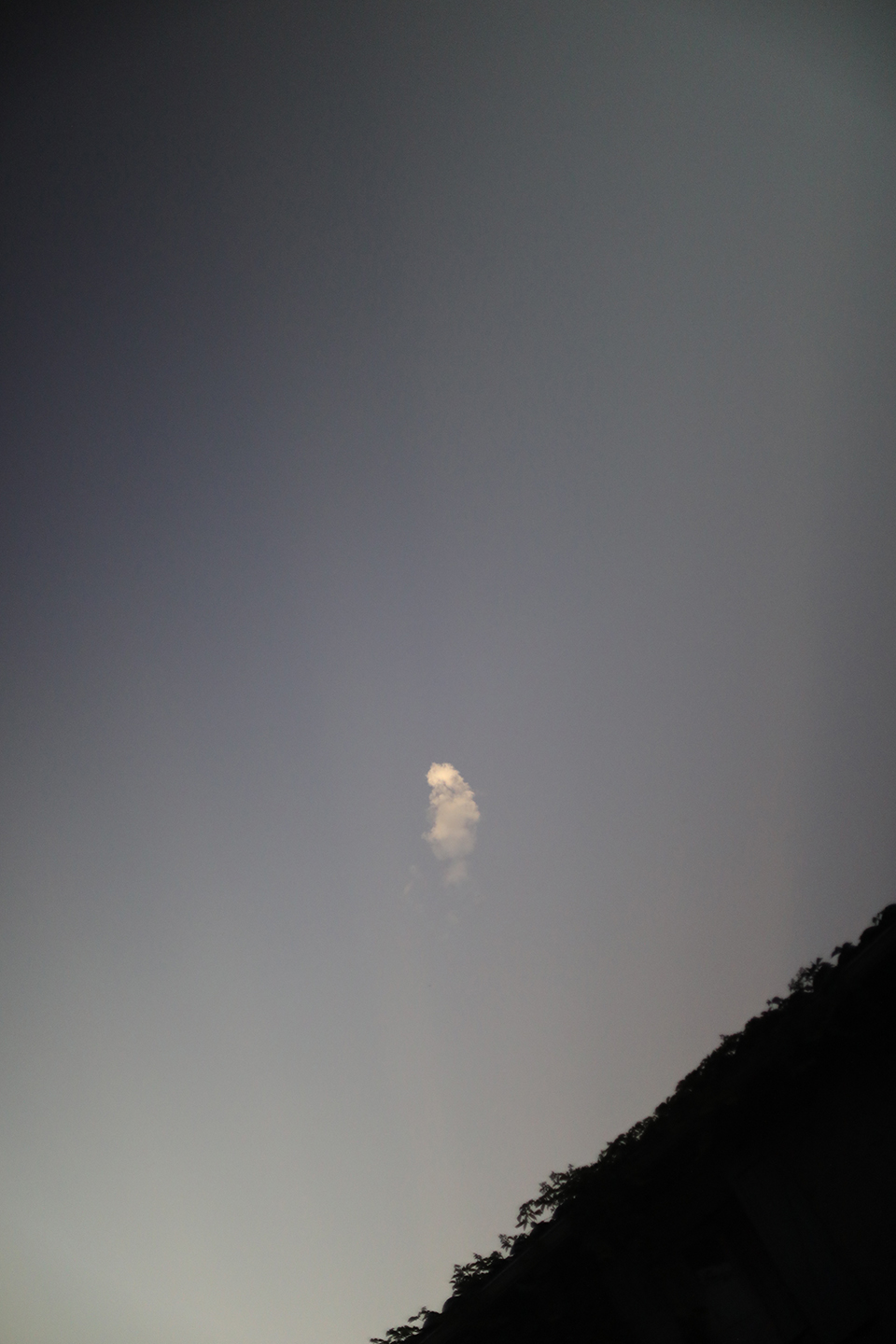 annahaerlin_weddingphotography_FF_wedding_20255626