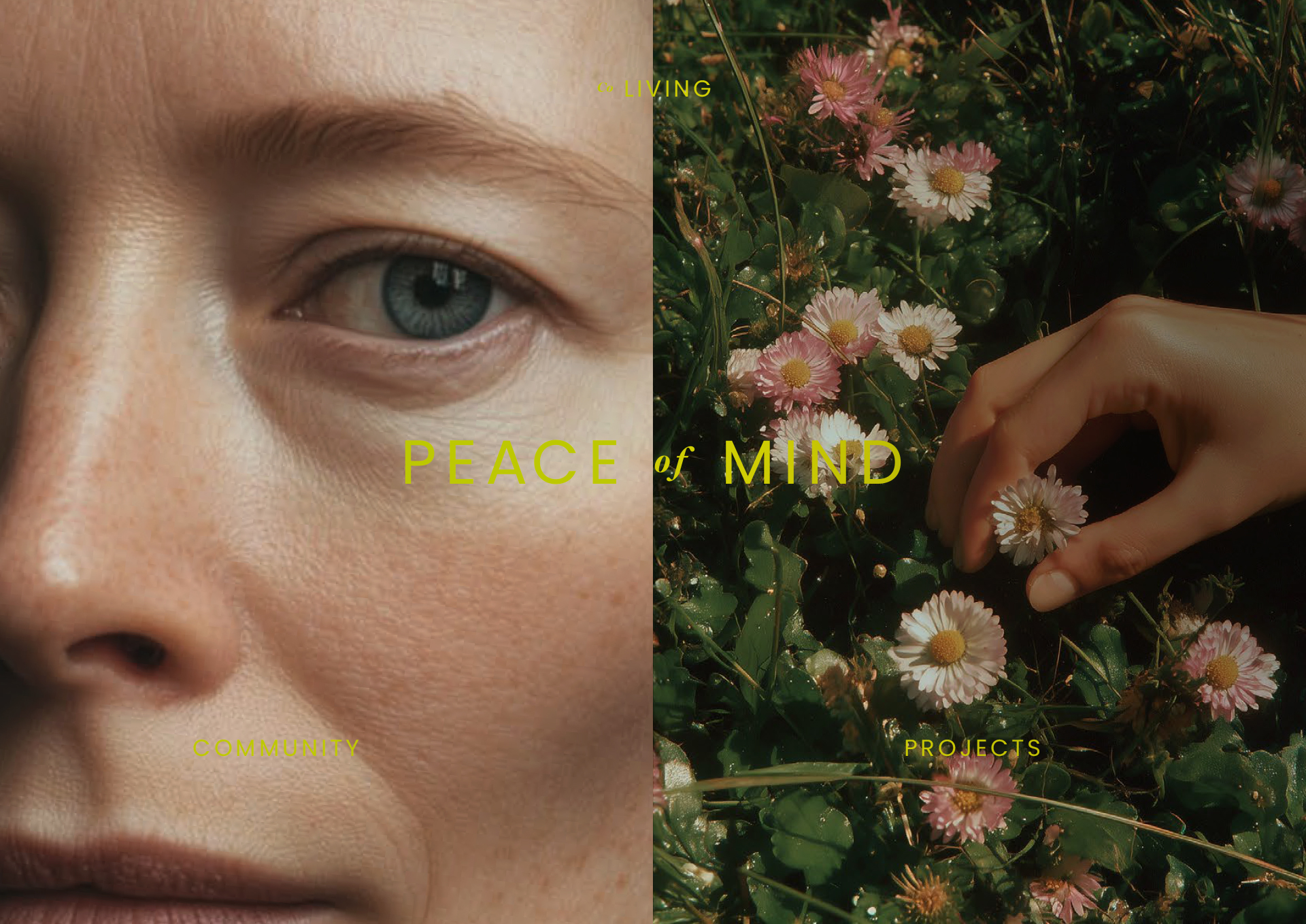 pieceofmind_banding_annahaerlin6 pieceofmind_banding_annahaerlin6